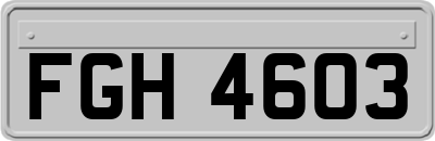 FGH4603