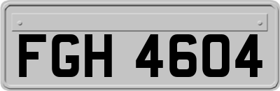 FGH4604