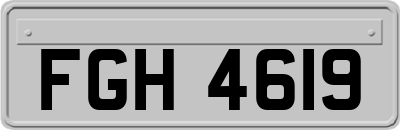 FGH4619