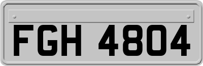 FGH4804