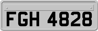 FGH4828