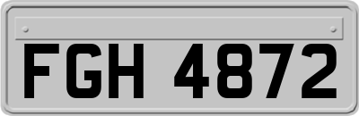 FGH4872