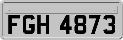 FGH4873
