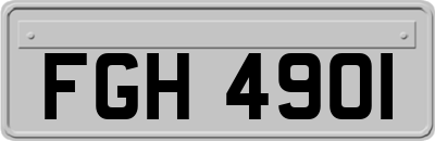 FGH4901