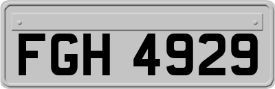 FGH4929