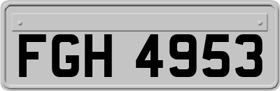 FGH4953