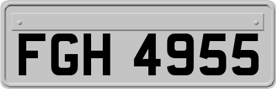 FGH4955