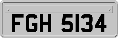 FGH5134