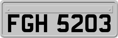FGH5203
