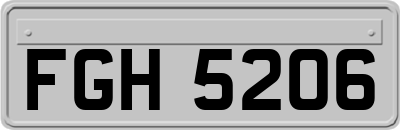 FGH5206