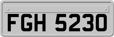 FGH5230