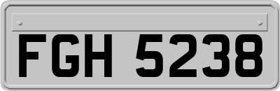 FGH5238