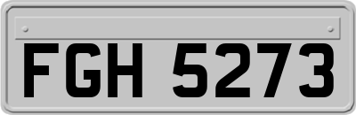 FGH5273