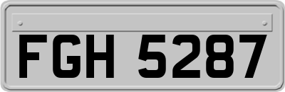 FGH5287