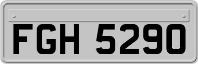 FGH5290