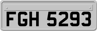 FGH5293