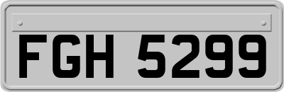 FGH5299
