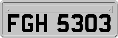 FGH5303