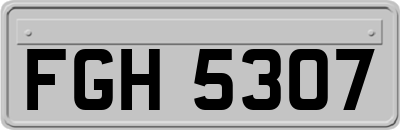 FGH5307