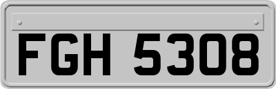 FGH5308