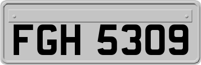 FGH5309