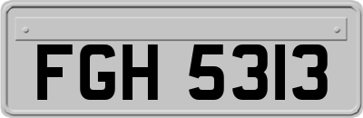 FGH5313