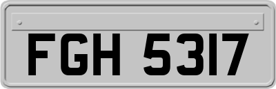 FGH5317