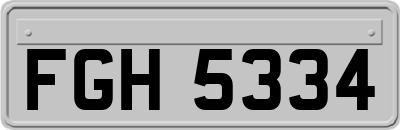 FGH5334