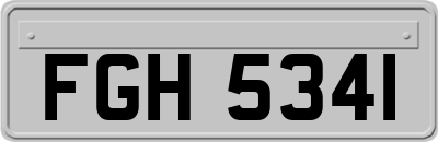 FGH5341
