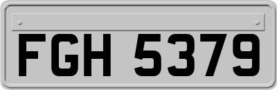 FGH5379