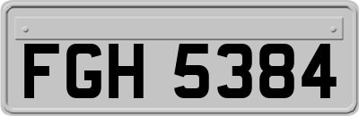 FGH5384