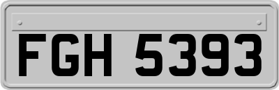 FGH5393