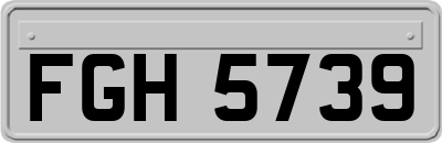 FGH5739