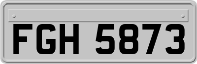 FGH5873