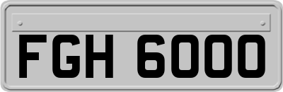 FGH6000