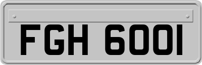 FGH6001