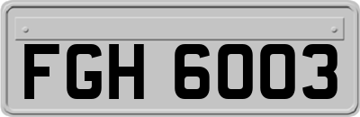 FGH6003
