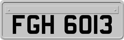 FGH6013