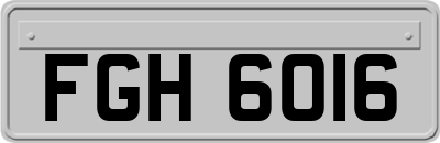 FGH6016