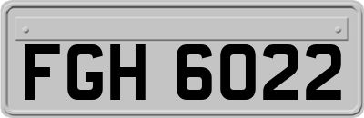 FGH6022