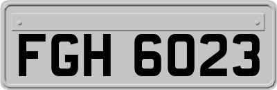 FGH6023