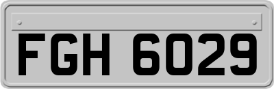FGH6029
