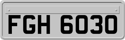 FGH6030