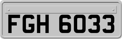 FGH6033