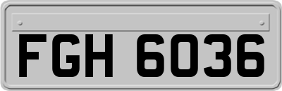 FGH6036
