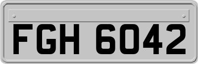 FGH6042