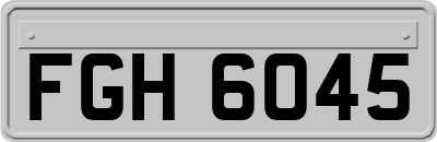 FGH6045