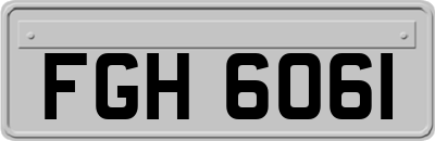 FGH6061