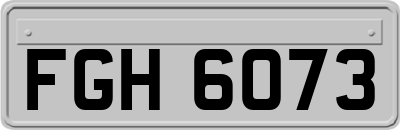 FGH6073