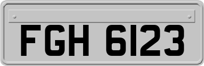FGH6123